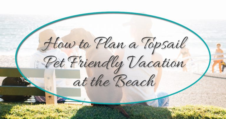 How to Plan a Topsail Pet-Friendly Vacation at the Beach - Topsail