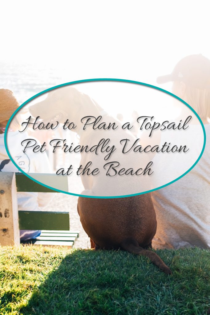 How to Plan a Topsail Pet-Friendly Vacation at the Beach - Topsail